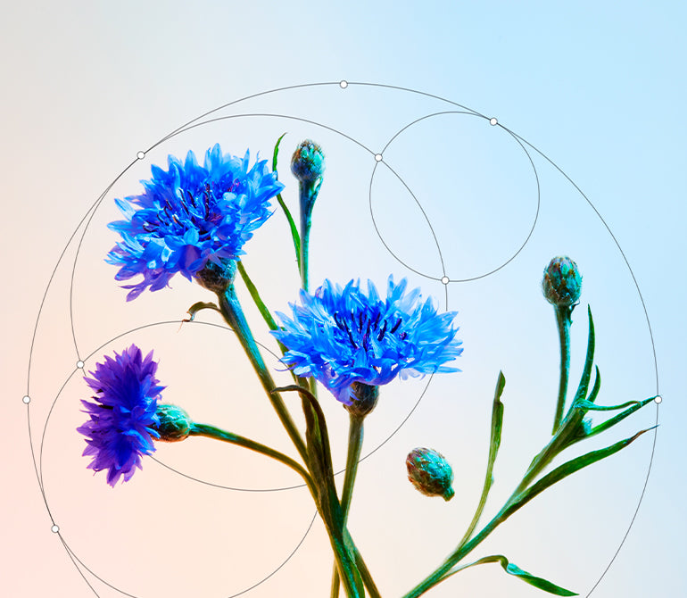 EAU FLORALE DE BLEUET