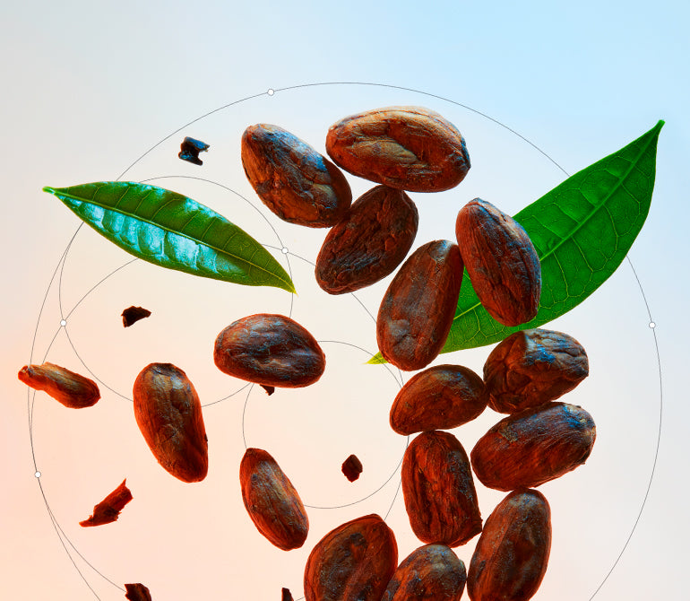 BEURRE DE CACAO