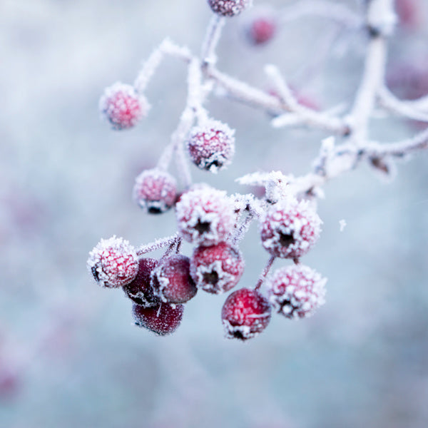 La routine idéale pour une peau protégée en hiver