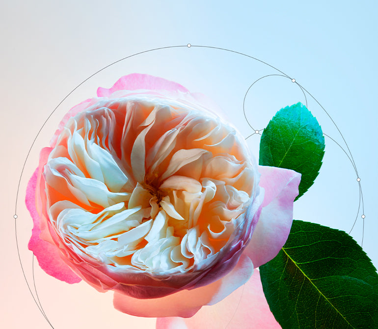 EAU FLORALE DE ROSE DE DAMAS
